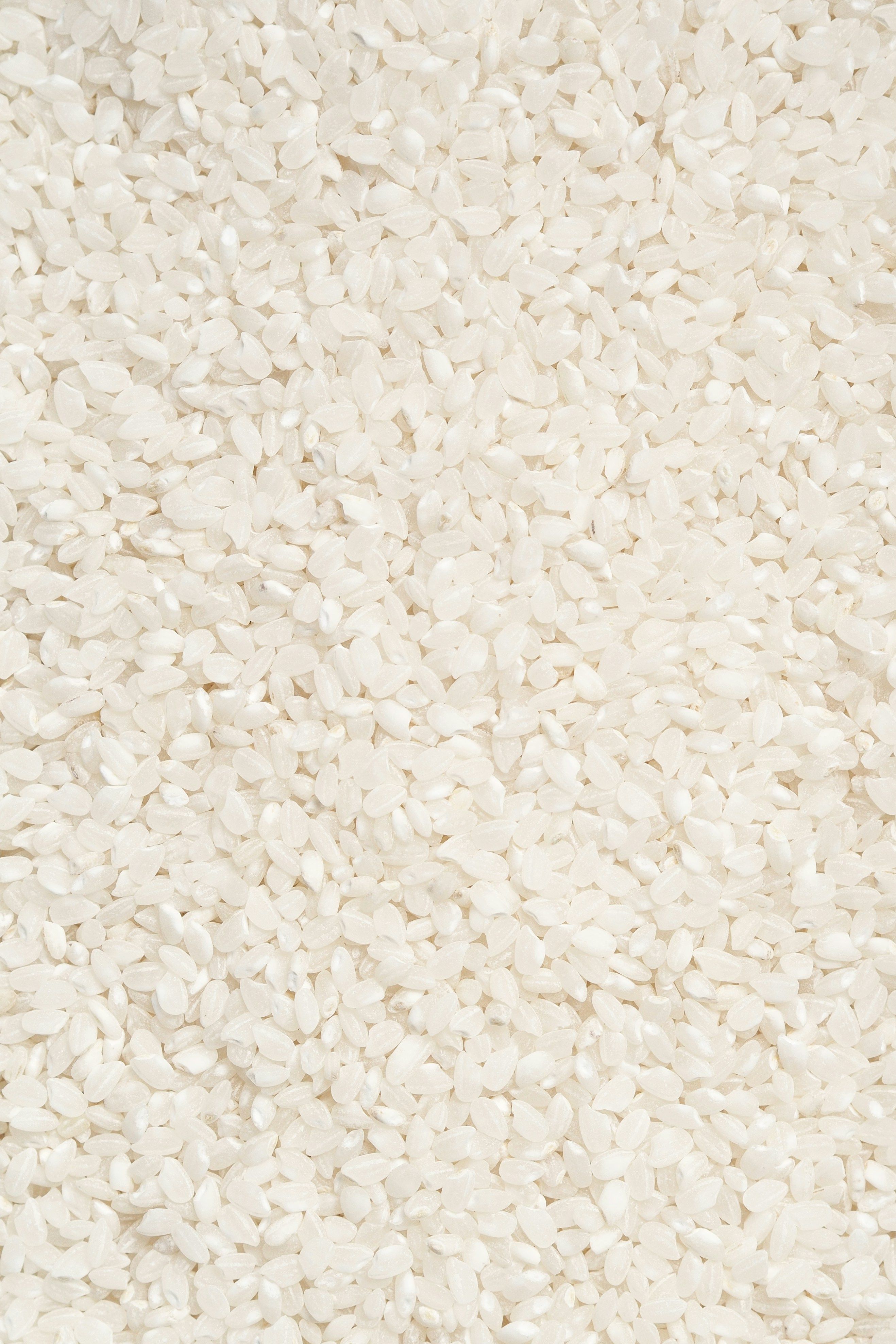 Which Rice to Choose for Rice Pudding?