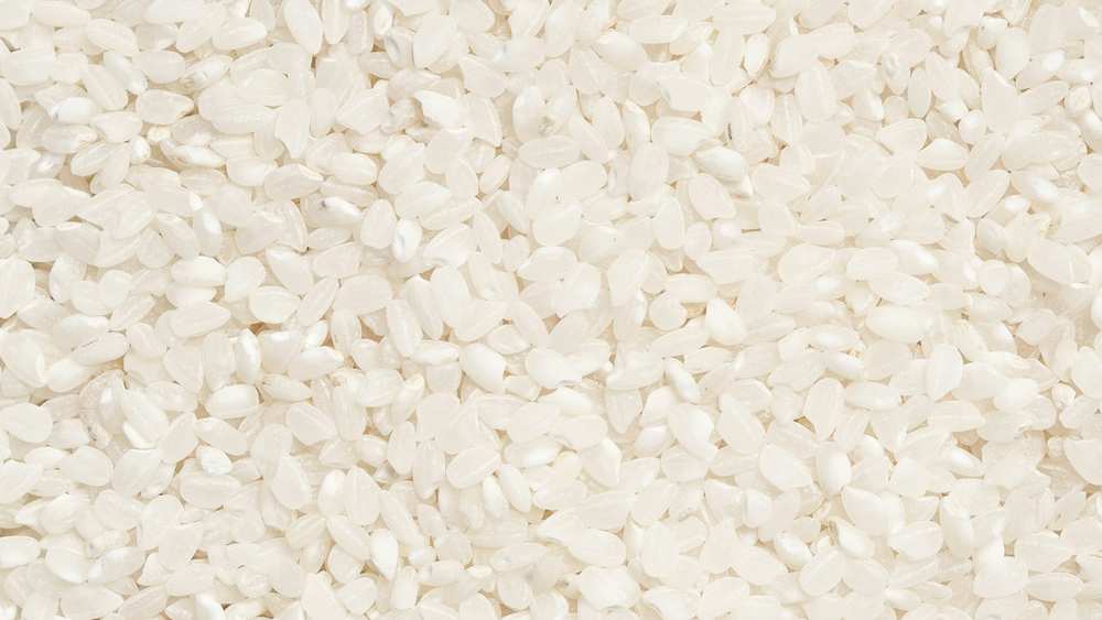 Which Rice to Choose for Rice Pudding?