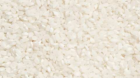 Which Rice to Choose for Rice Pudding?