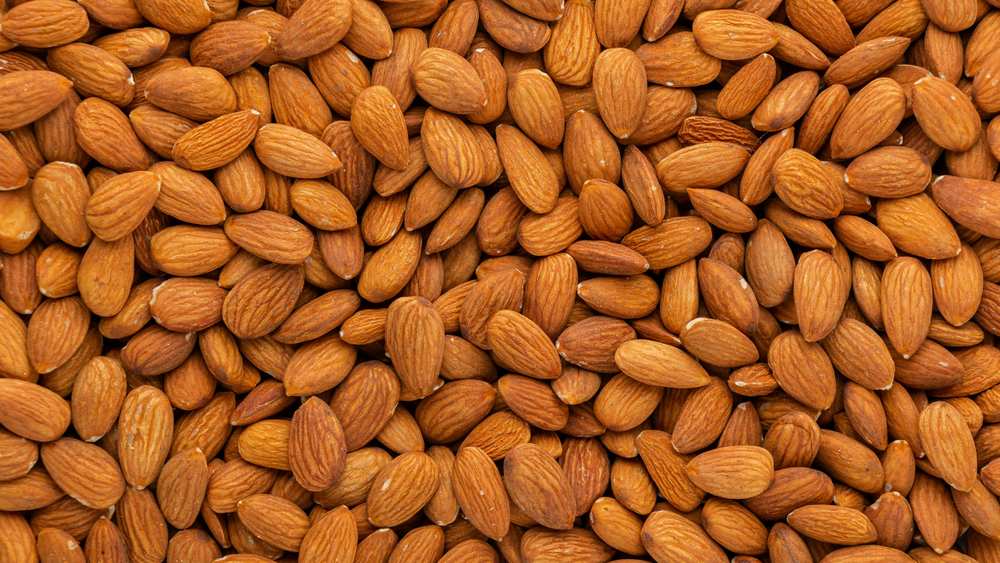What is the difference between almond meal and almond flour?