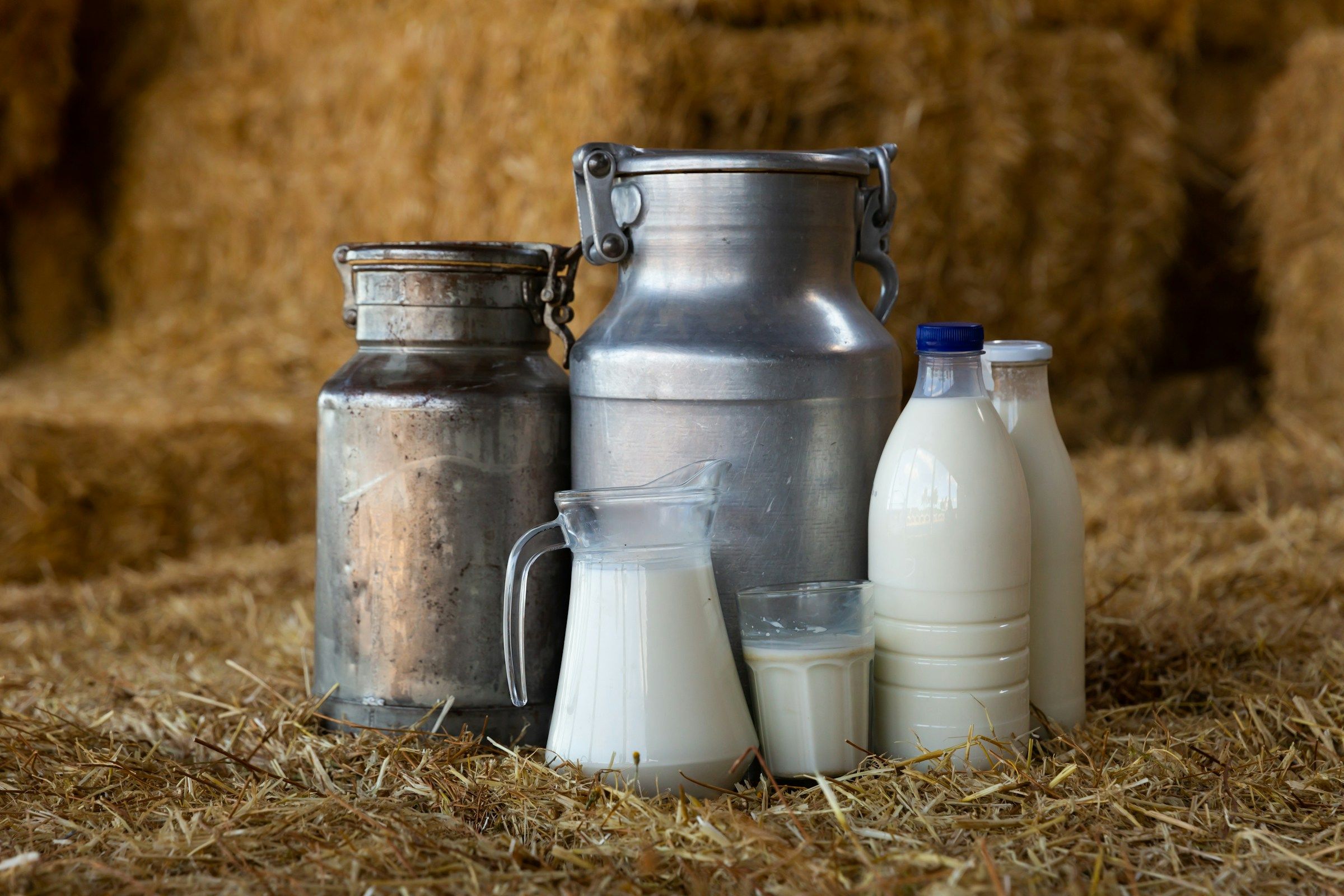 Which Milk to Choose for Crepes?