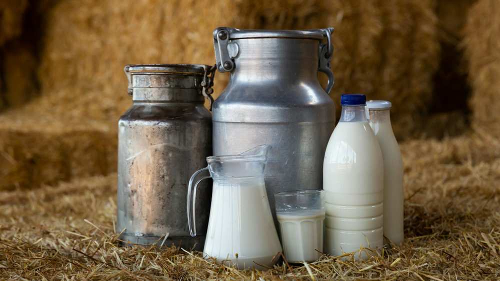 Which Milk to Choose for Crepes?