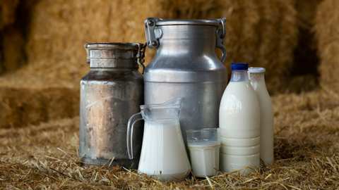Which Milk to Choose for Crepes?