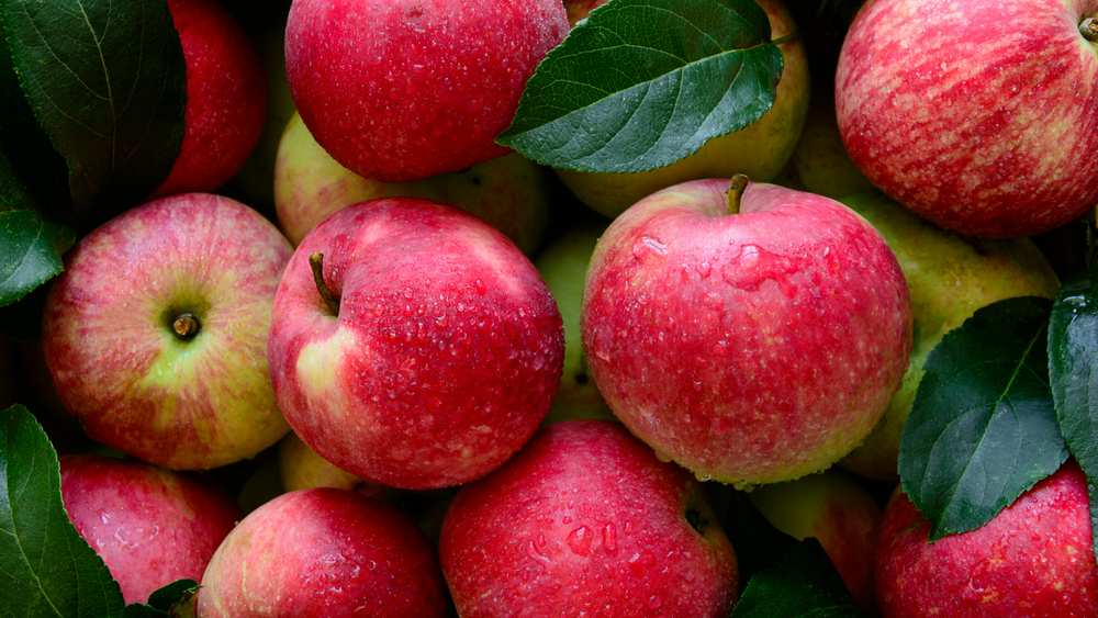Close-up of fresh red apples covered in water droplets, with green leaves