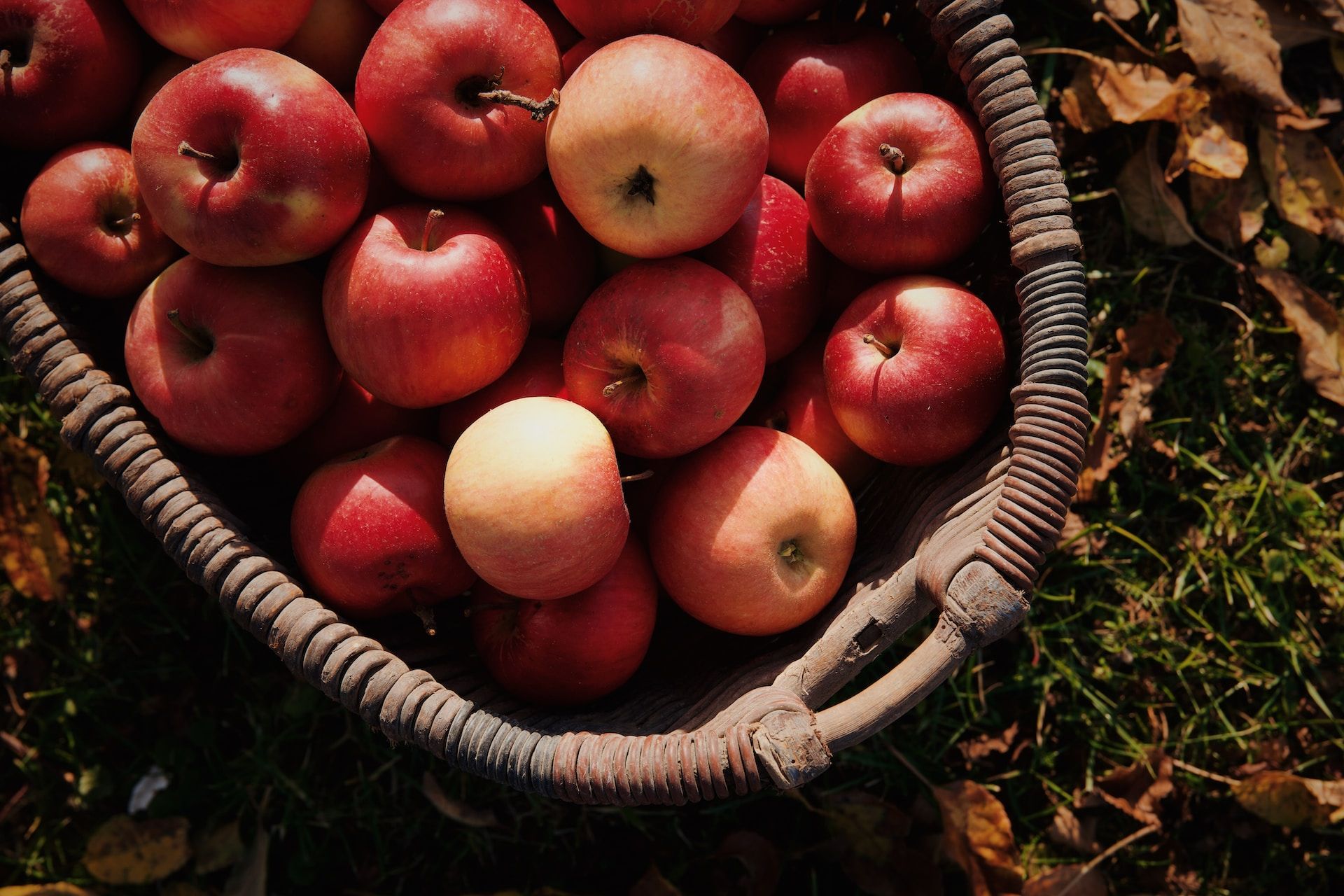 What apples should you use for a crumble?