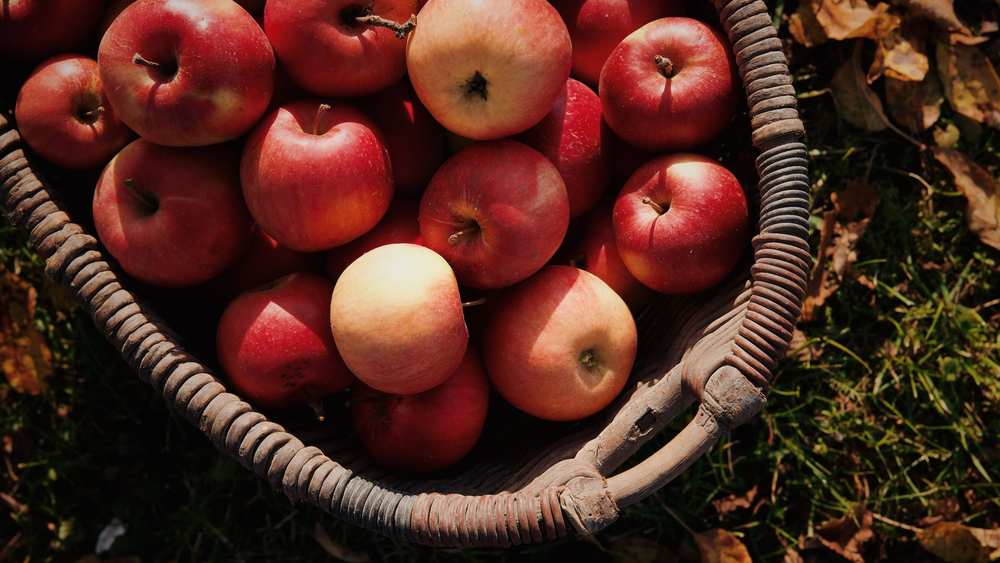 What apples should you use for a crumble?